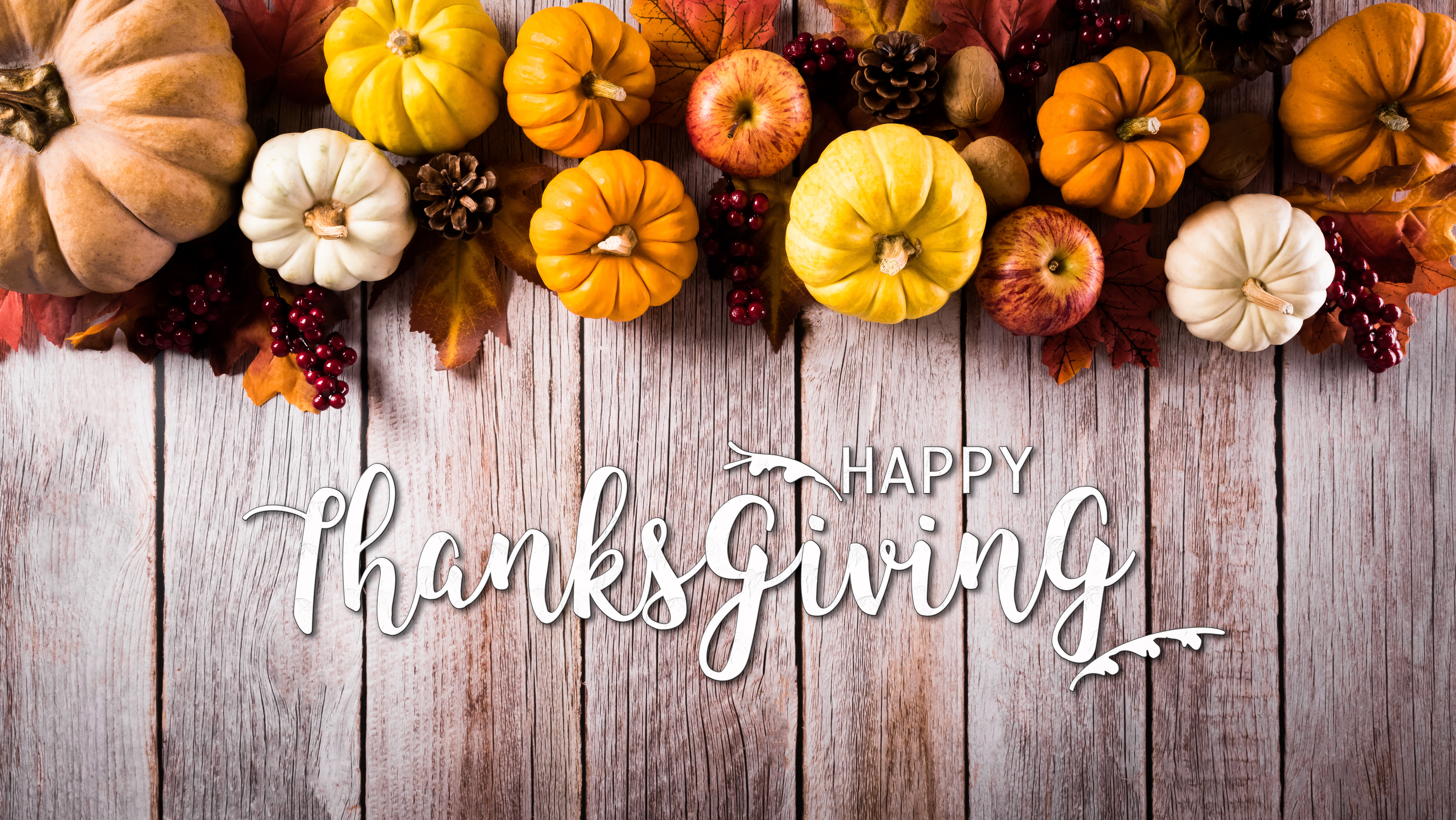 We hope you have a wonderful Thanksgiving!