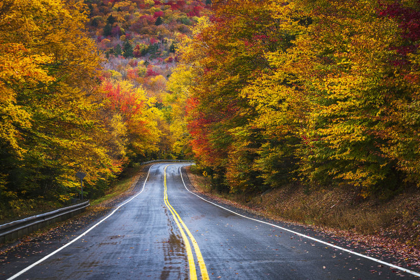 A Guide to Leaf Peeping