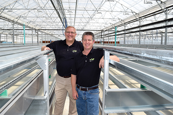 lēf Farms Could Make Major Lettuce from Growing Greens