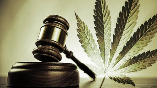 Gov. Sununu Signs Bill Decriminalizing Marijuana