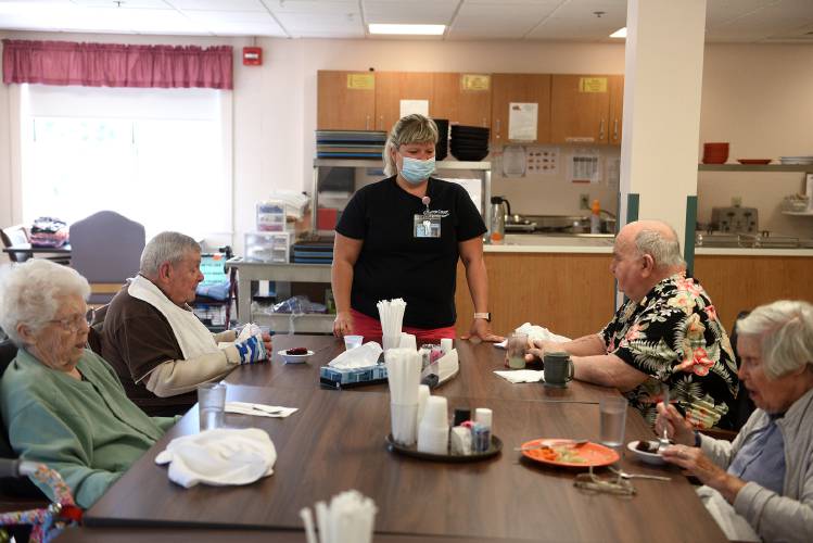 Grafton County Nursing Homes