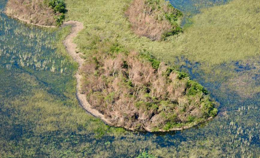 Coastal Ecosystems: Resistance or Resilience