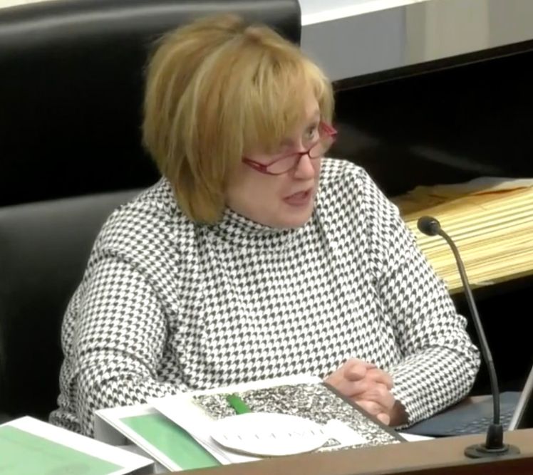 Dover City Council Challenges Redistricting Plan