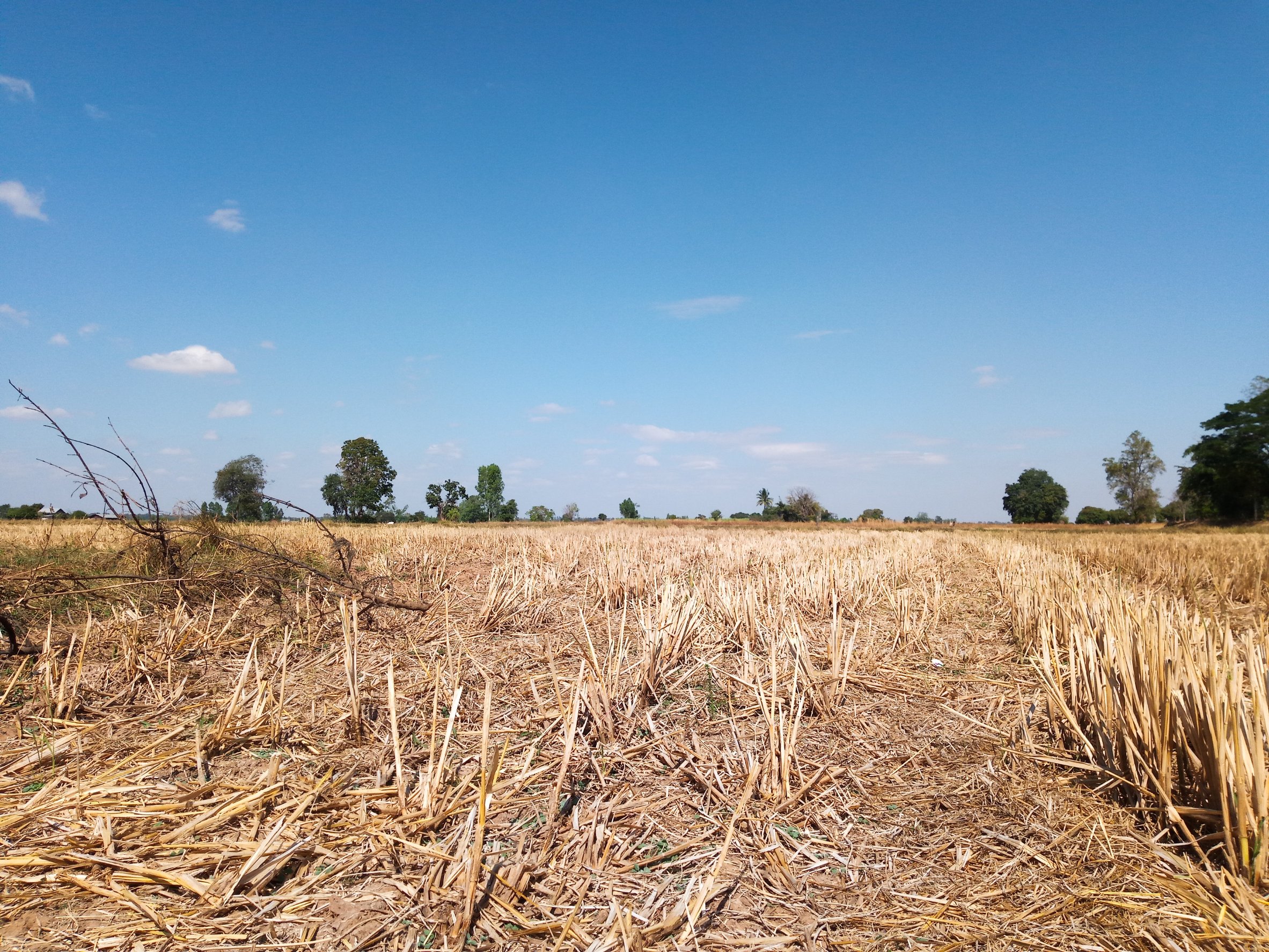 Moderate Drought Declared Across New Hampshire
