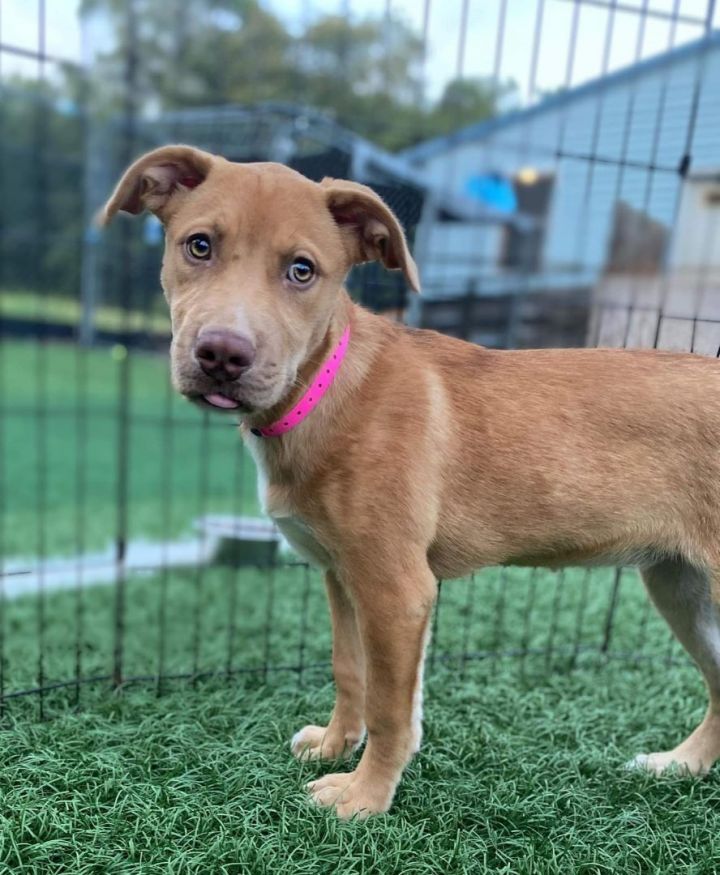 RELYCO Announces New Charitable Giving Initiative