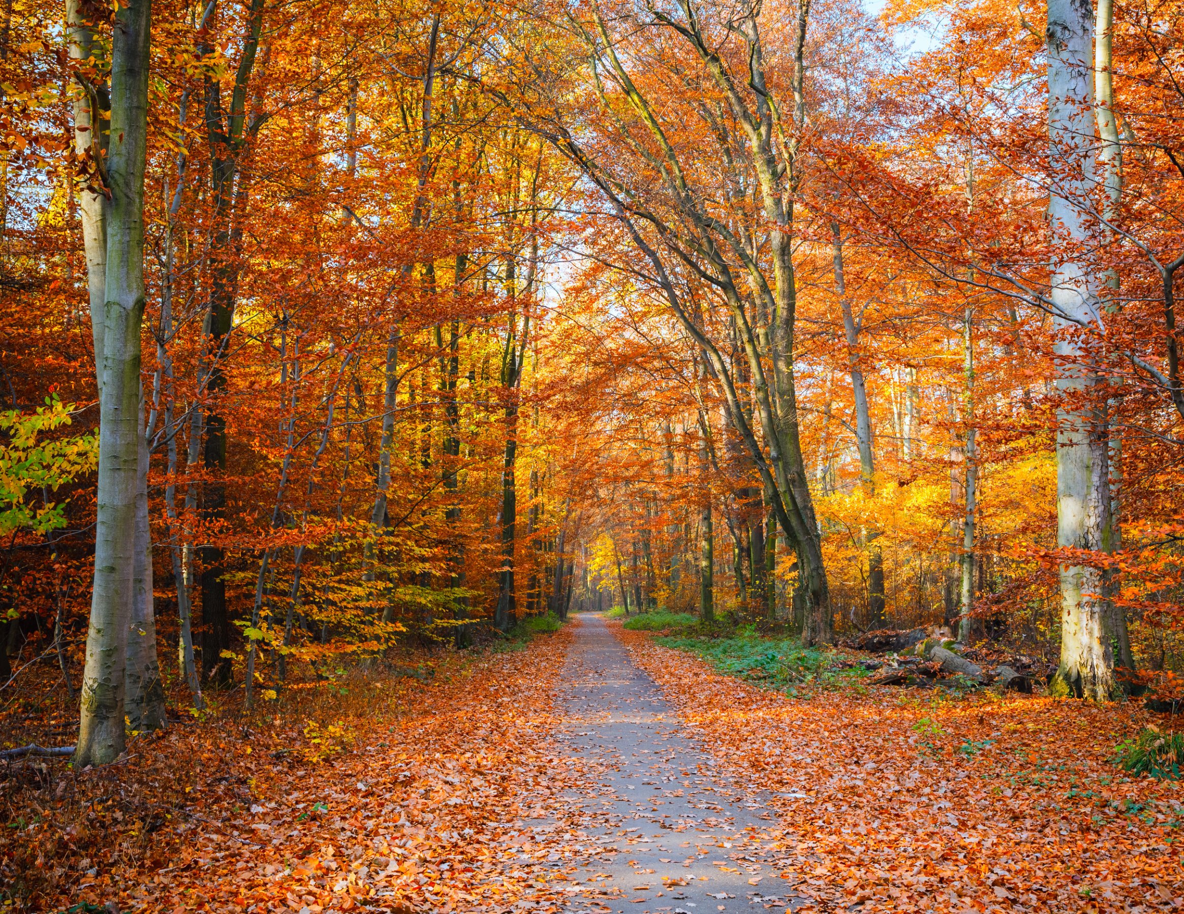 NH Tourism Officials Project Another Strong Fall Season