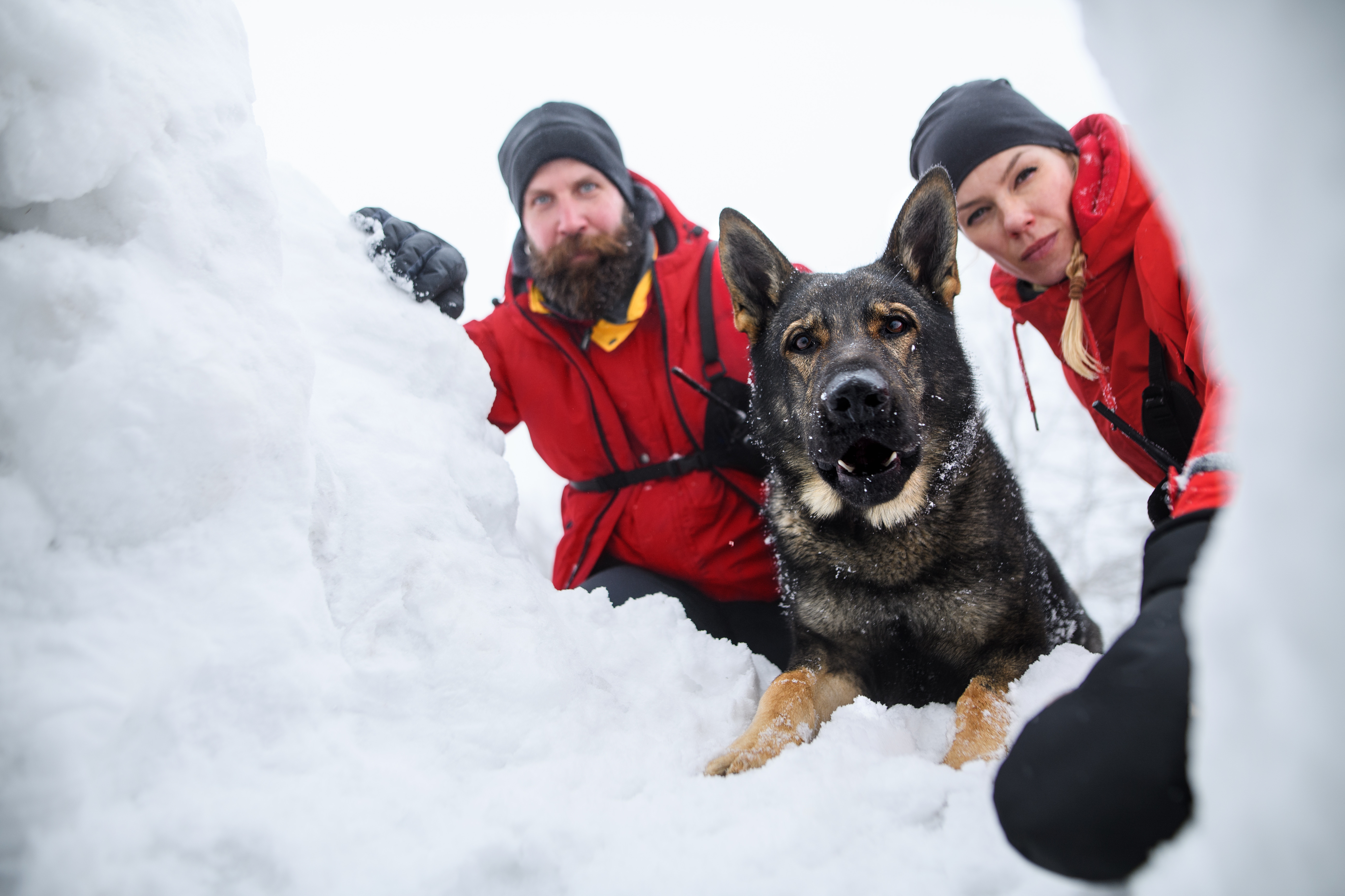 NH Nonprofits Merge to Support Mount Washington Avalanche Center
