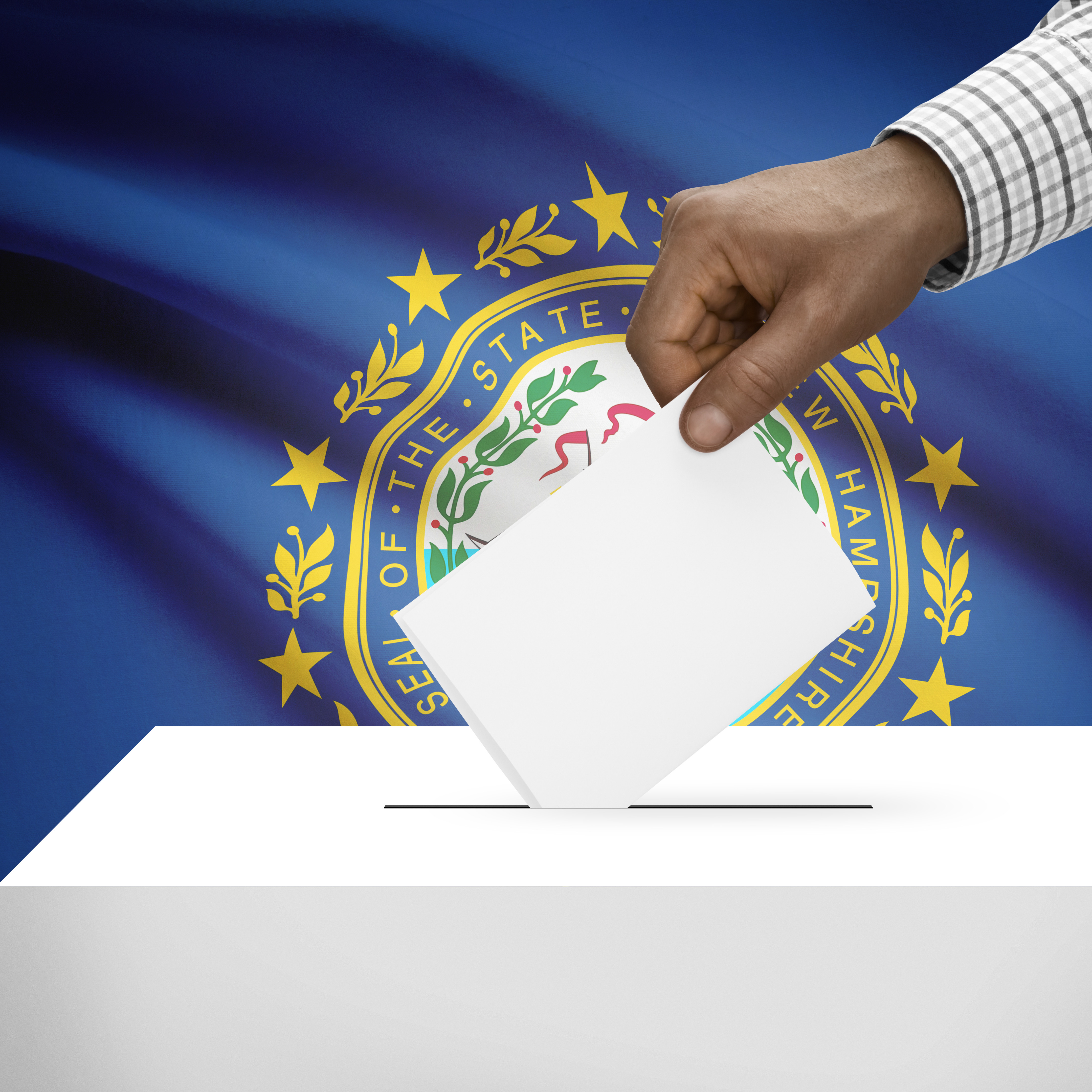 Lawmakers Contemplate Online Voter Registration in NH