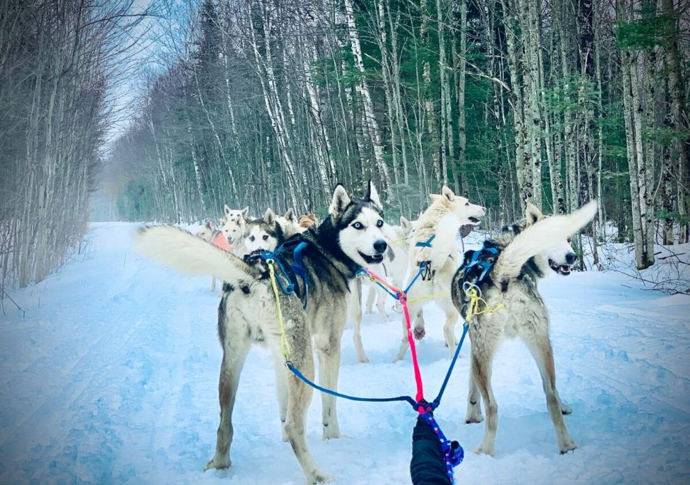 Sled Dog Tour Company Files Suit Over Rail Trail Access