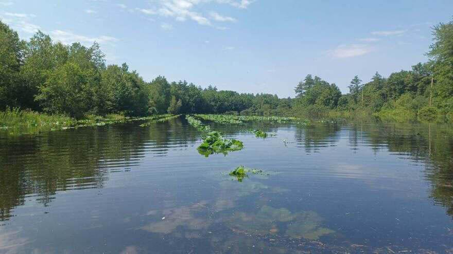 Legislation Would help NH Farmers Hit Hard by Severe Weather