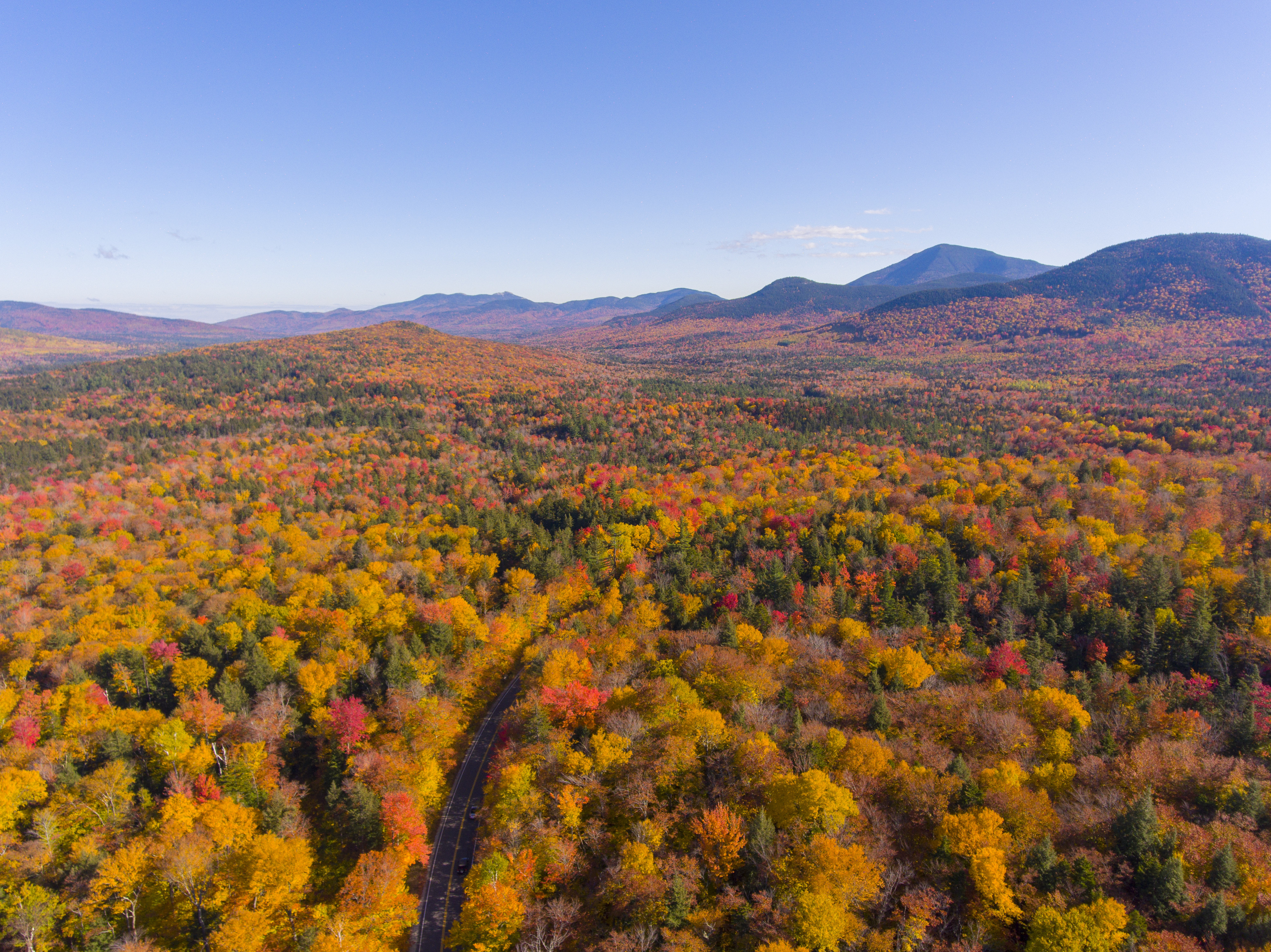 State Rejects Carbon Offset Company's Proposal to Manage North Country Forest