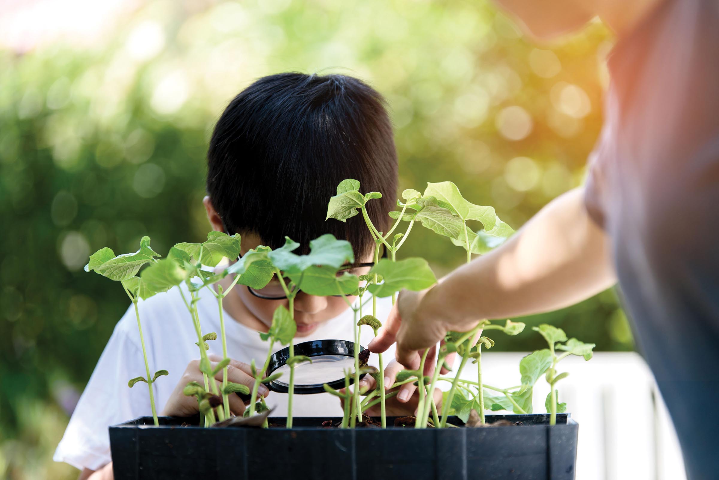 Farm to School Program Introduces Healthy Food Options