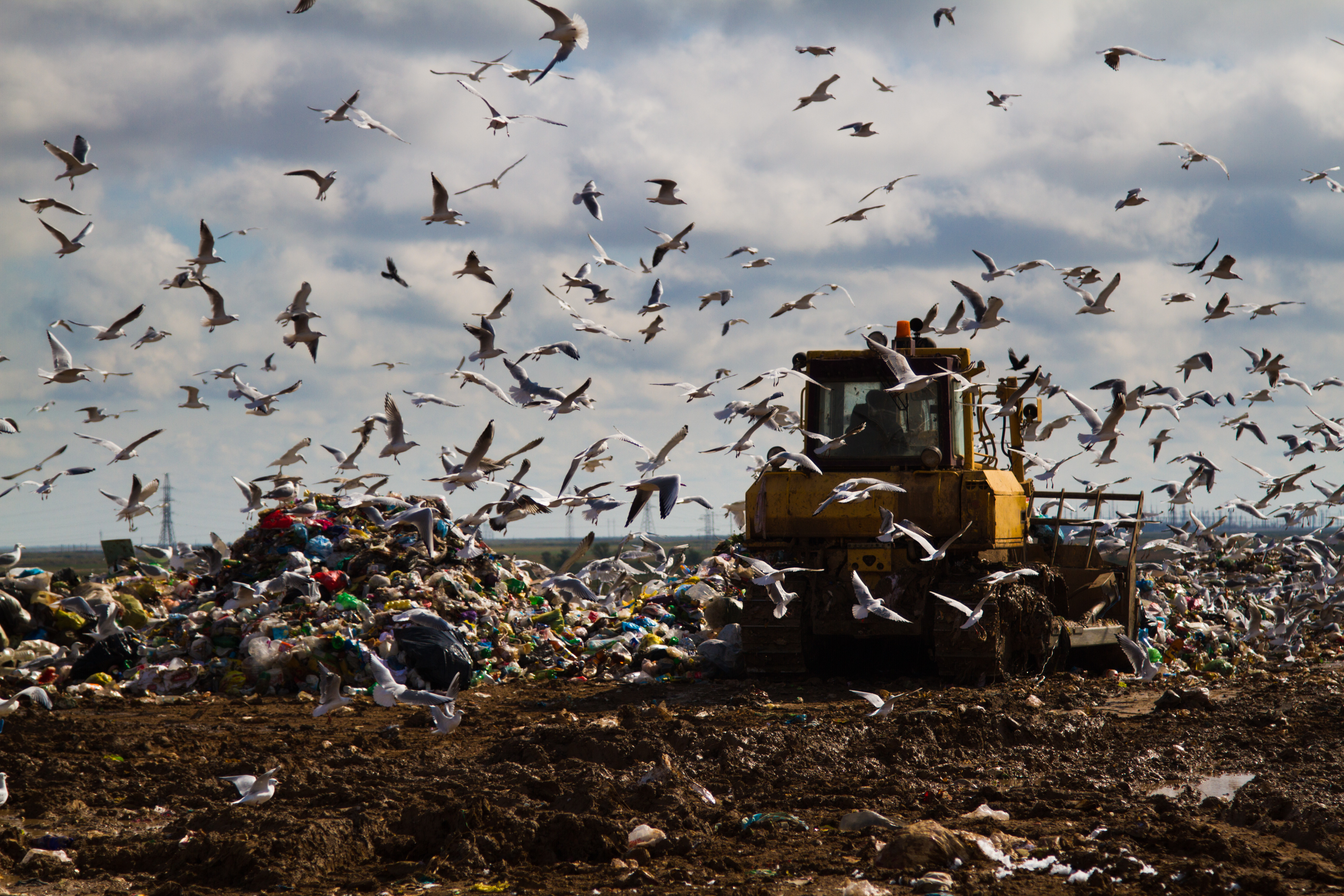 NH Expects Next Year's Food Waste Ban to Increase Diversion to Facility Market