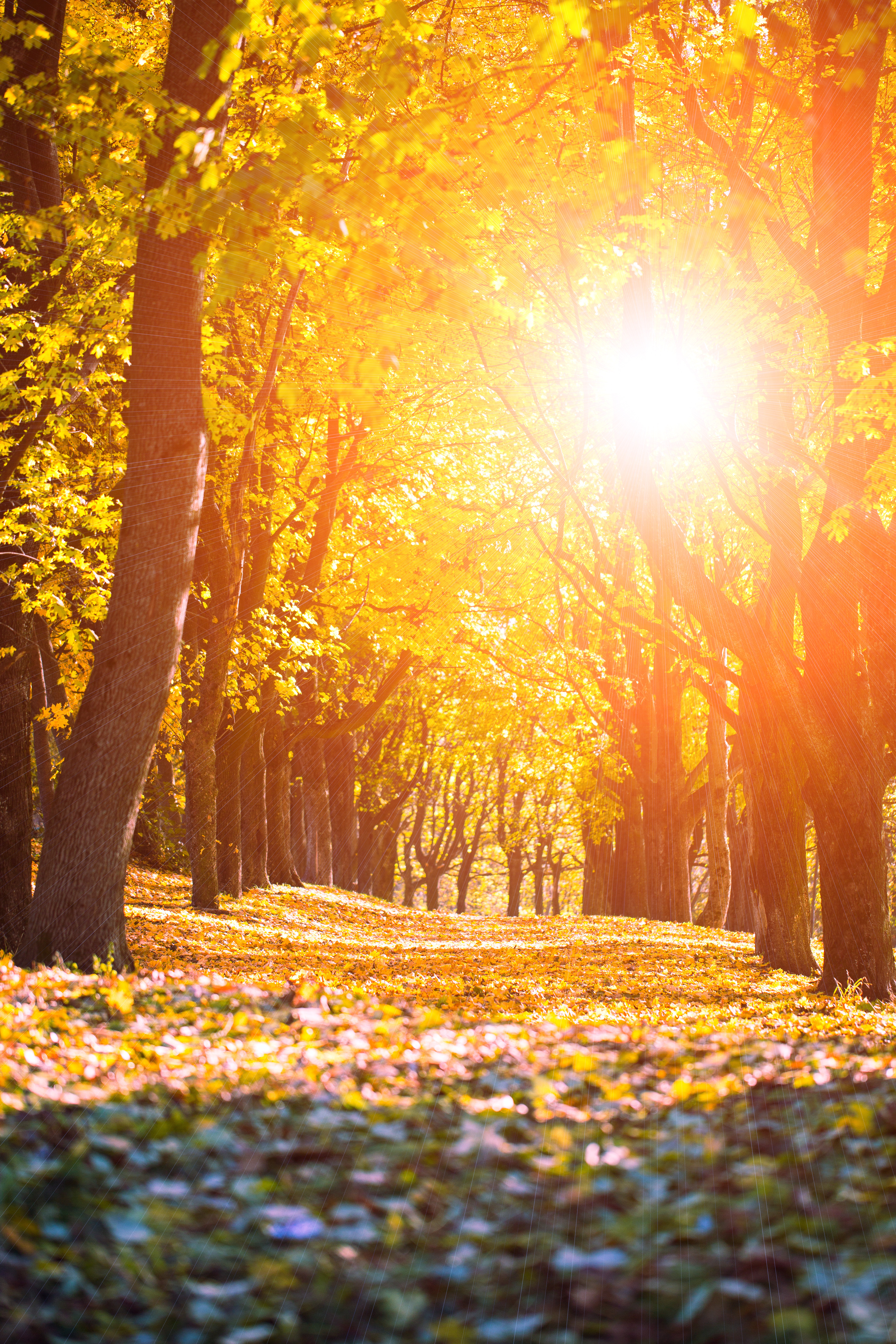 NH Will Likely Have a Hotter Fall Than Usual