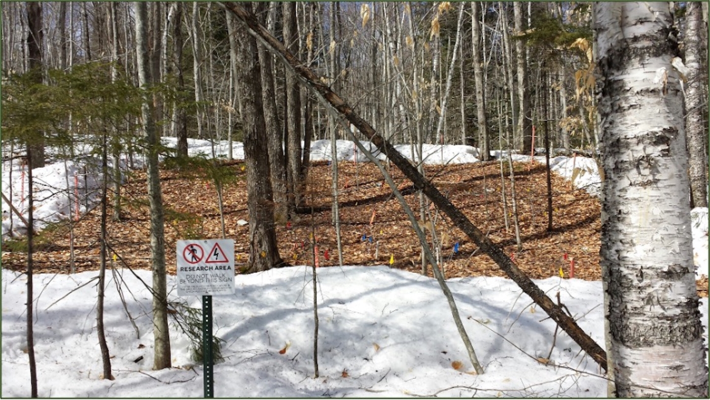 NH’s Snowpack is Shrinking