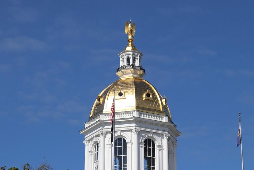 Ayotte's COGE Committee Issues Government Efficiency Recommendations