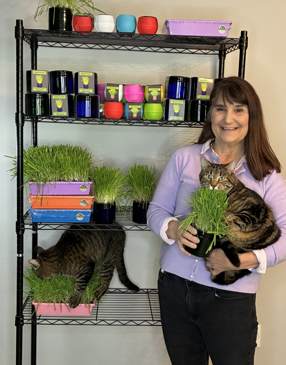 Startup Star: Mom’s Indoor Cat, Finding the Purrrfect Approach
