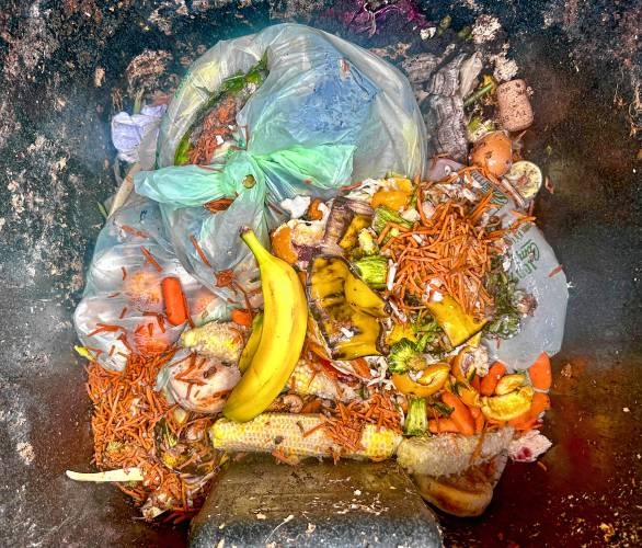Insufficient Infrastructure Prevents Enforcement of NH Food Waste Ban