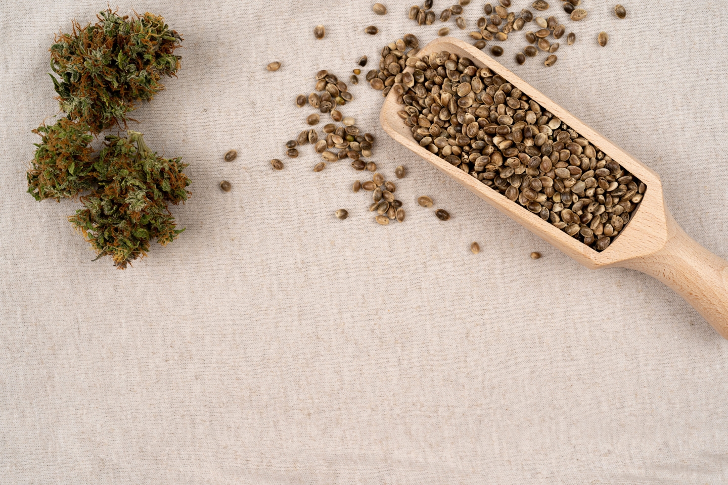 NH Attorney General Joins Push for Federal Hemp Regulations