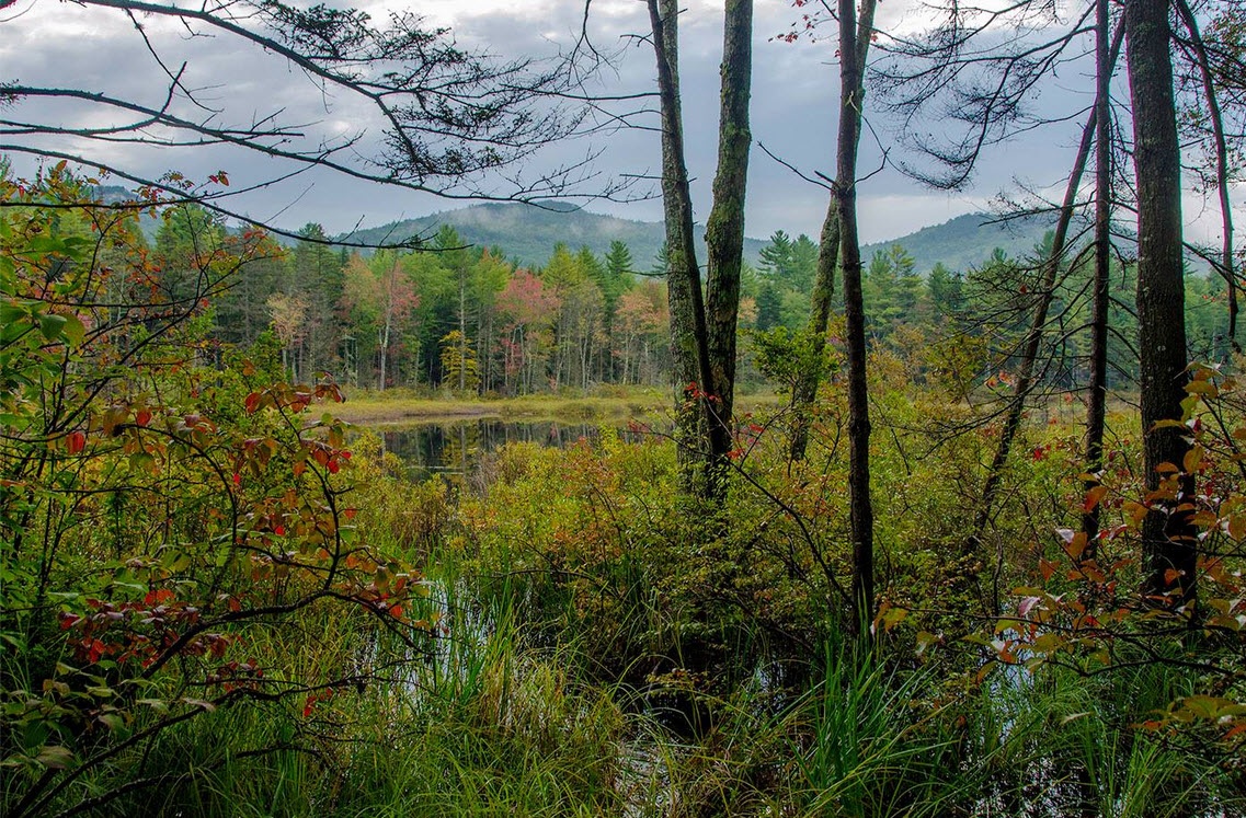 Mt. Washington Chamber Chimes in on Fall Forecast Mt. Washington Chamber Chimes in on Fall Forecast