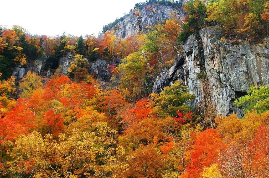 NH Makes List of States With Fastest Job Growth
