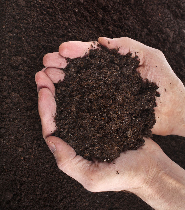 From Corpse to Compost