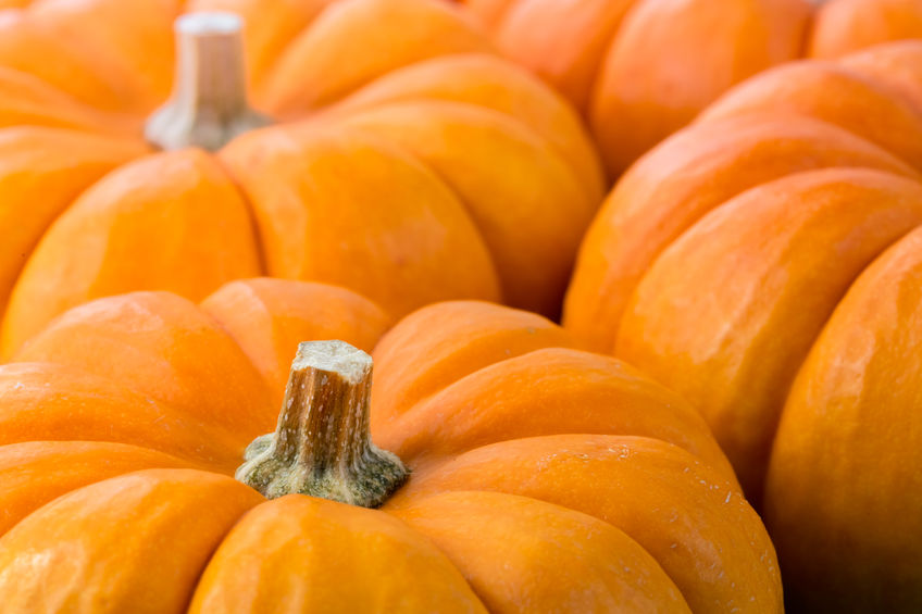 Pumpkin Festival Resurrected in Keene