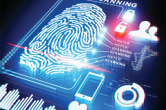 Preventing Cybercrime