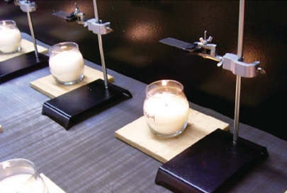 Alene Candles to Hire 400 Employees for Peak Season