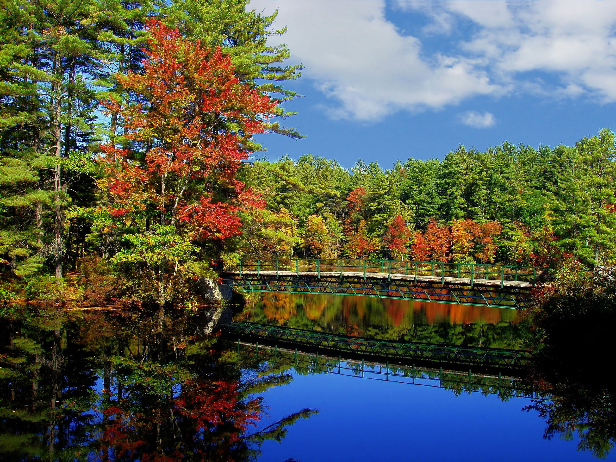 UNH Scientist Forecasts Good Foliage Season