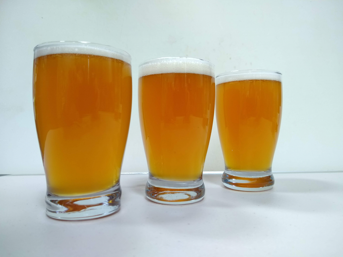 UNH Brews â€˜George Squashington' Beer