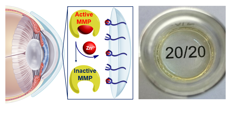 UNH Researchers Create Hydrogel