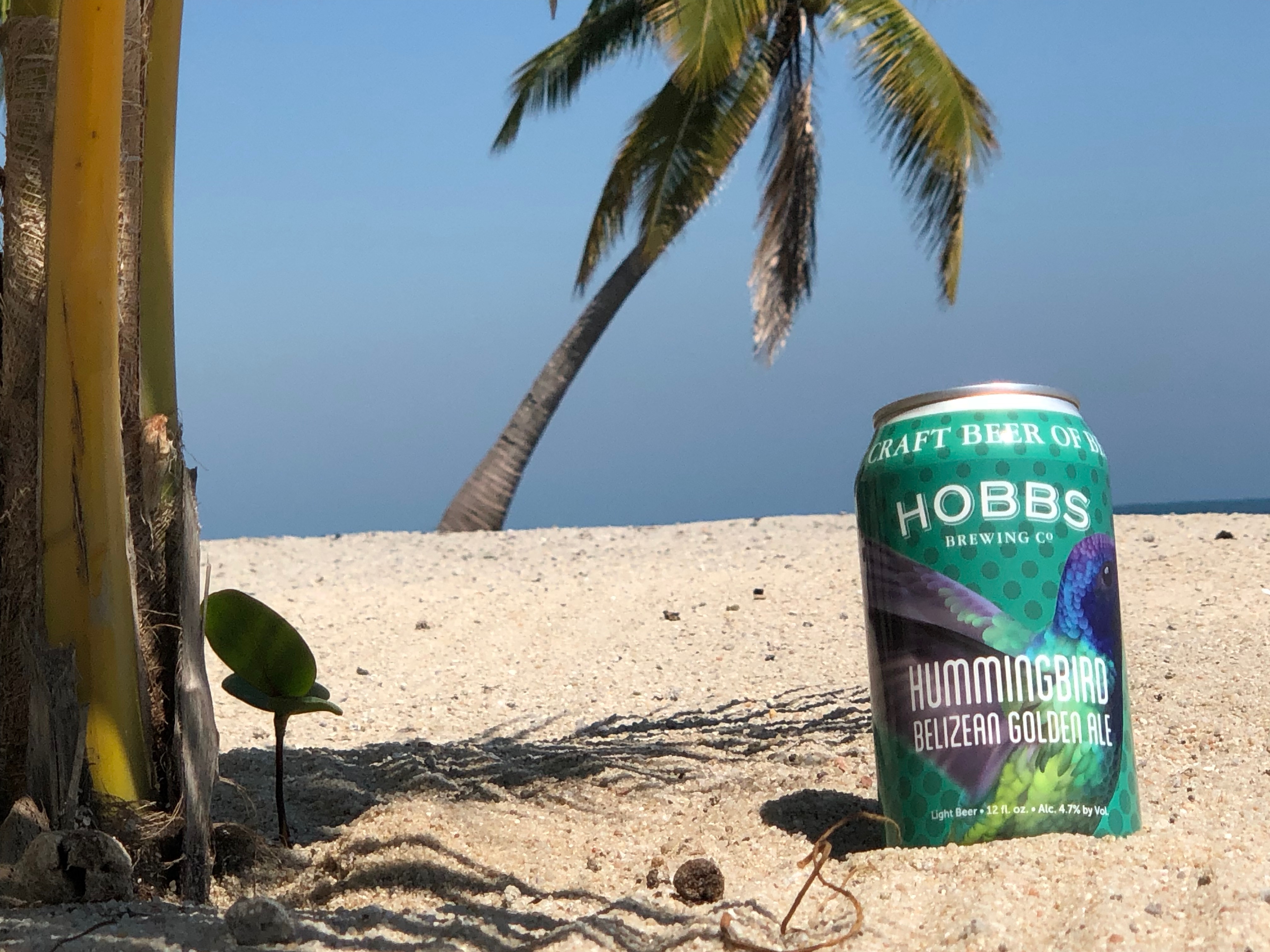 Hobbs Brewing Co. Launches Brewery in Belize