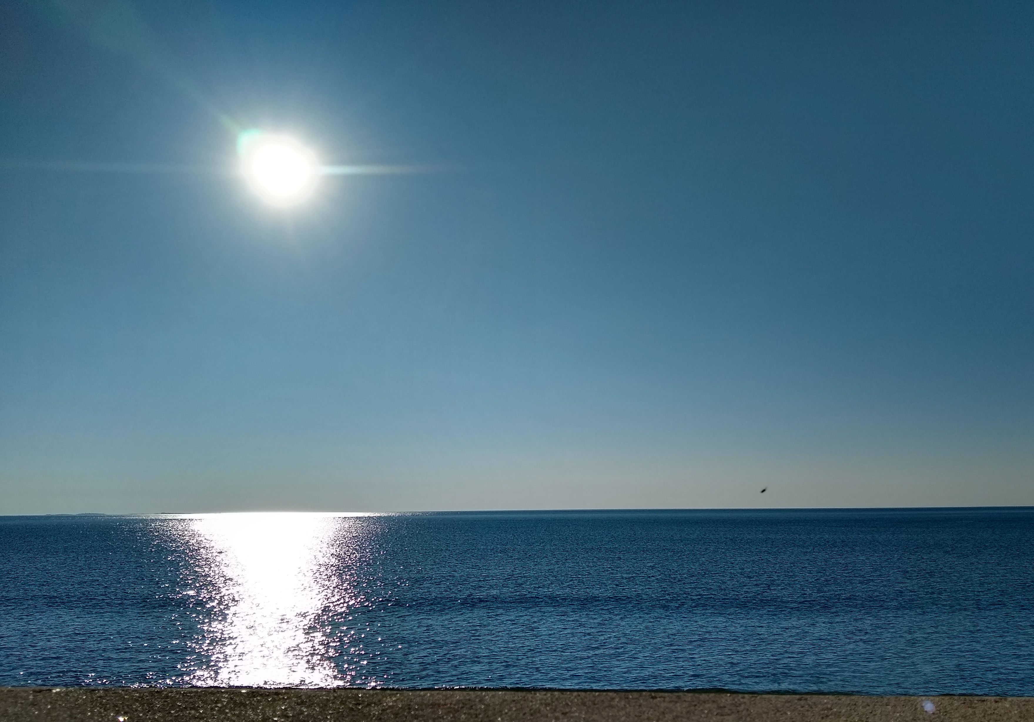 More Tourists Expected this Summer