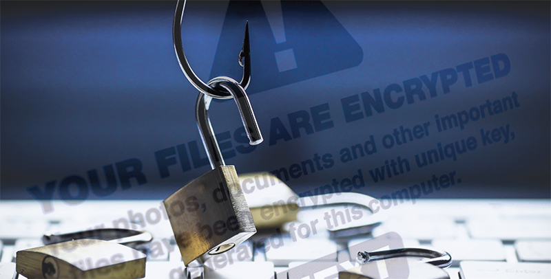 Phishing: Don't Take the Bait