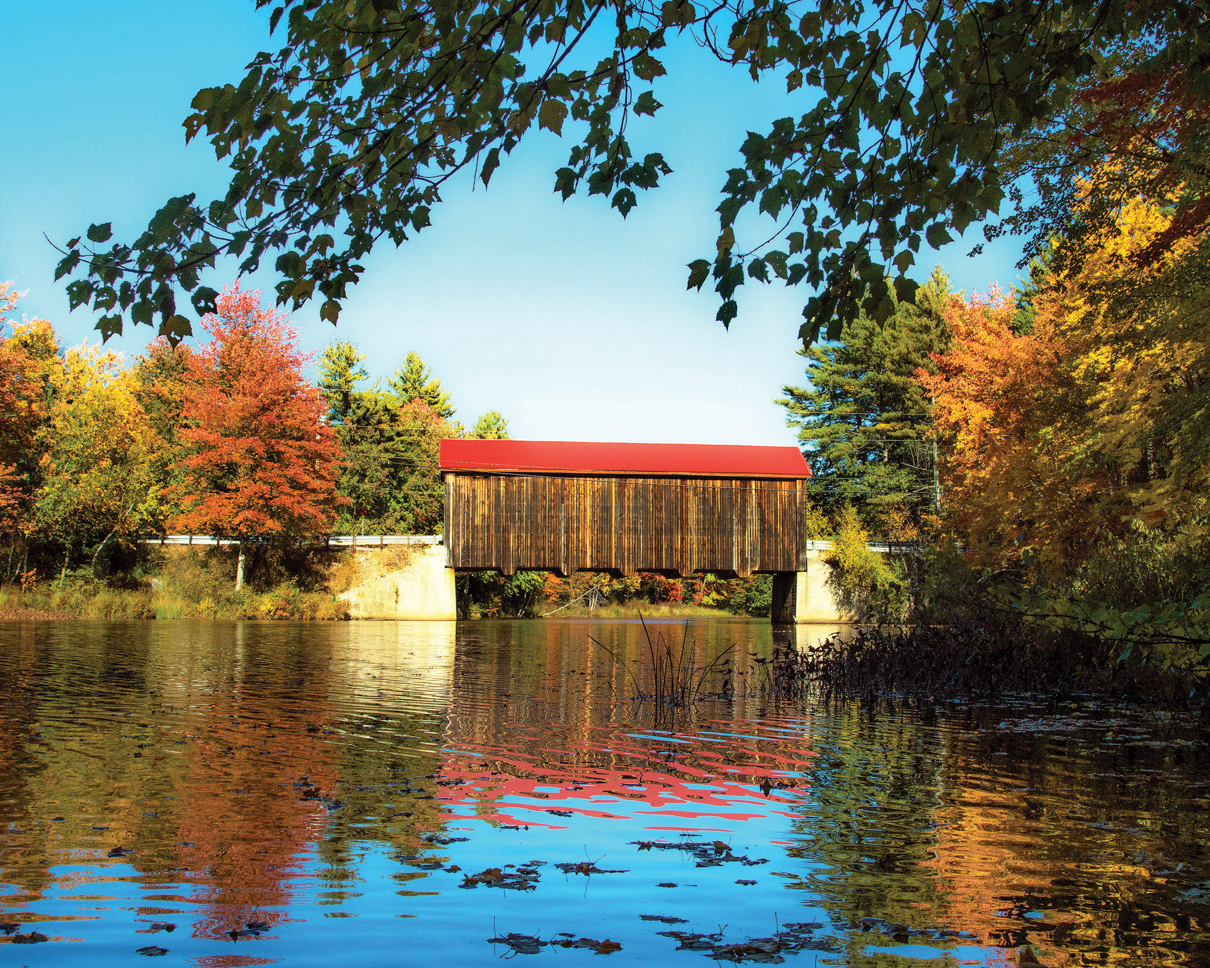 Bank to Showcase Unique Character of NH