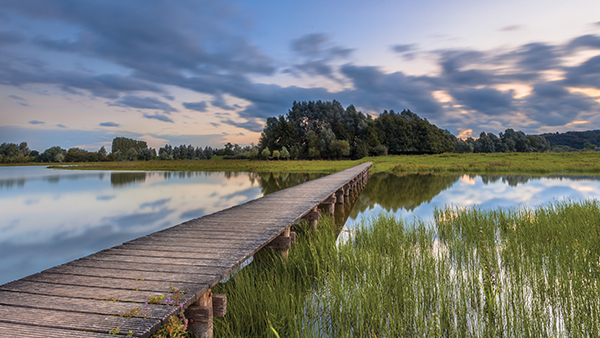 New Rules for Wetlands New Rules for Wetlands