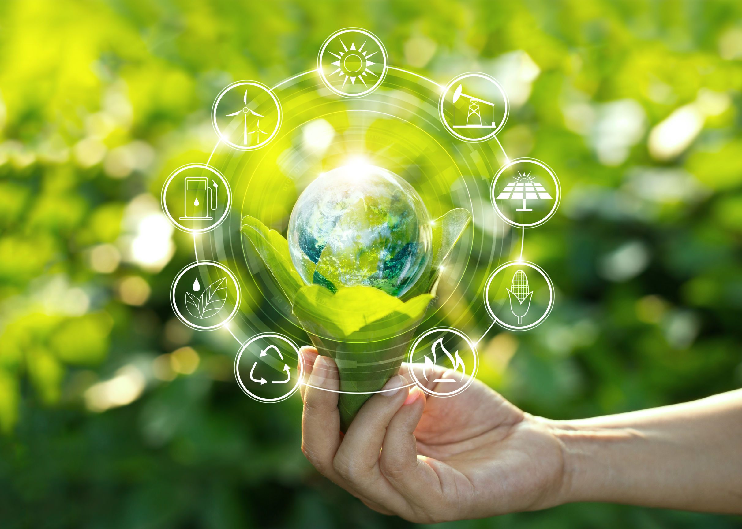 NHBSR Marks 20th Year With Sustainability Awards