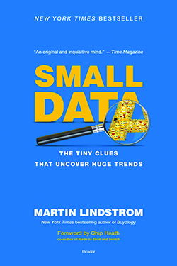BNH Book Review: Small Data