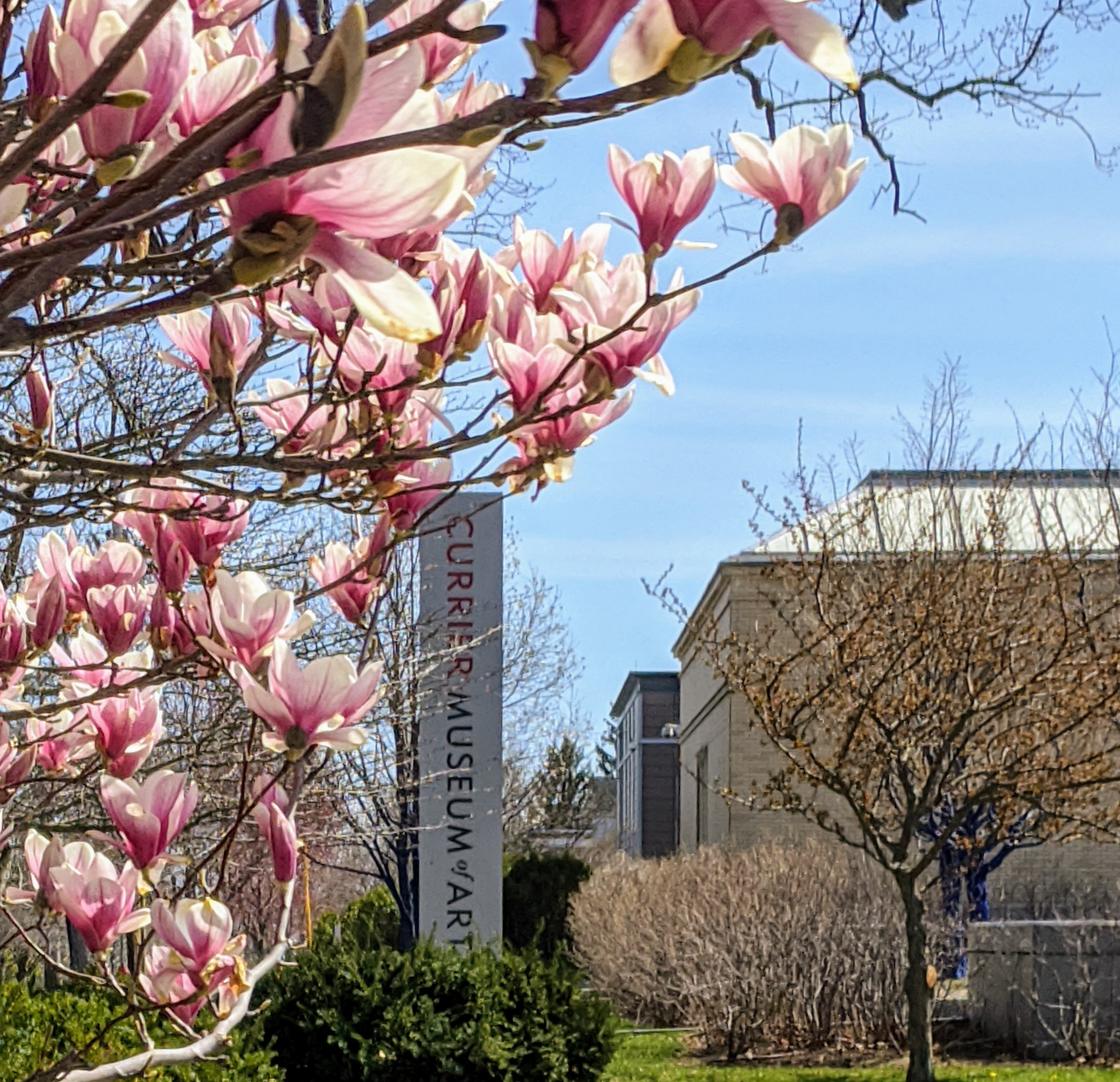 Museums to Offer In-Person and Digital Programs