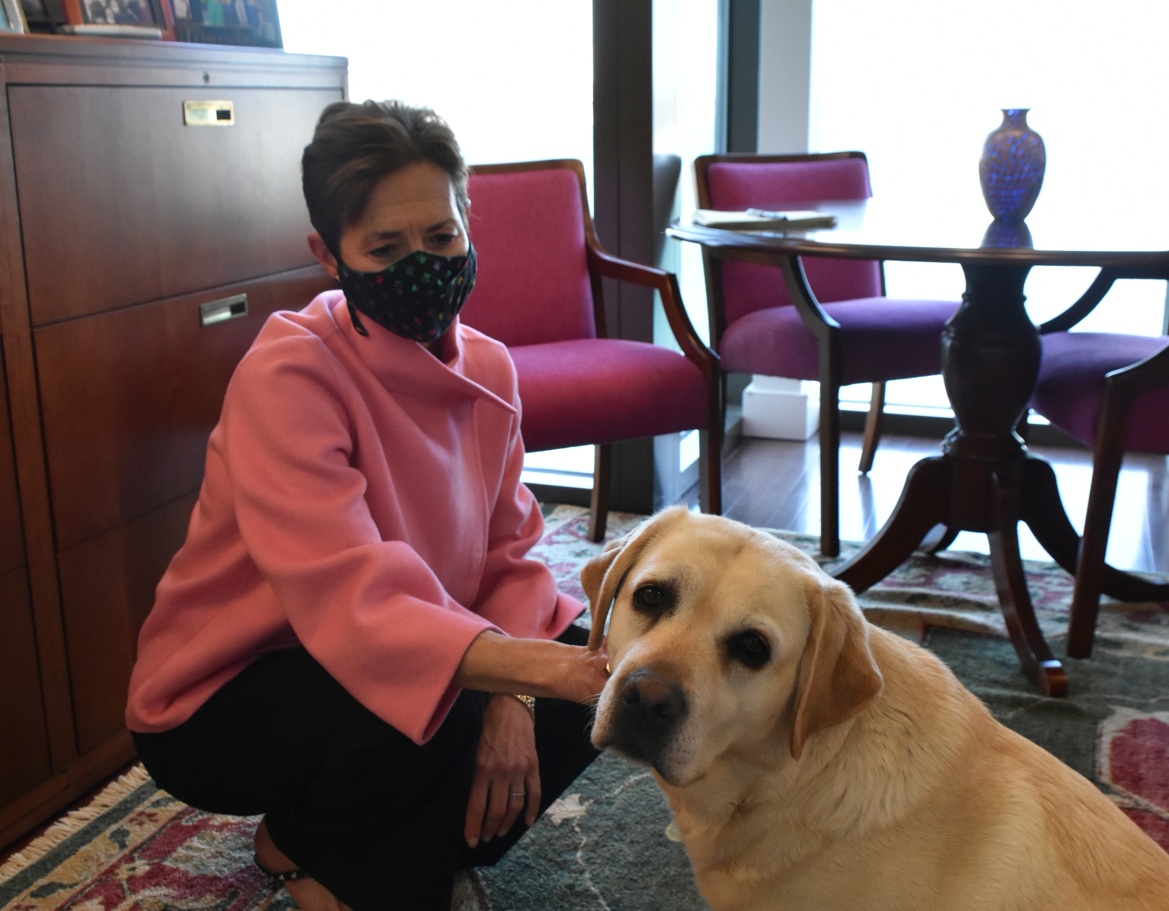 Who Let the Dogs In?