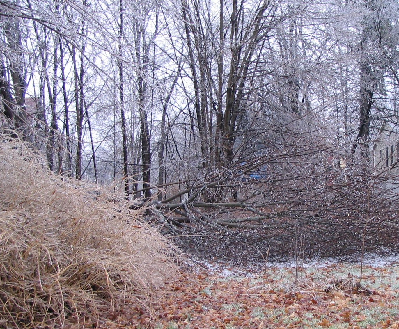 Preparing for Winter Storms Preparing for Winter Storms
